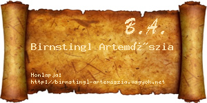 Birnstingl Artemíszia névjegykártya